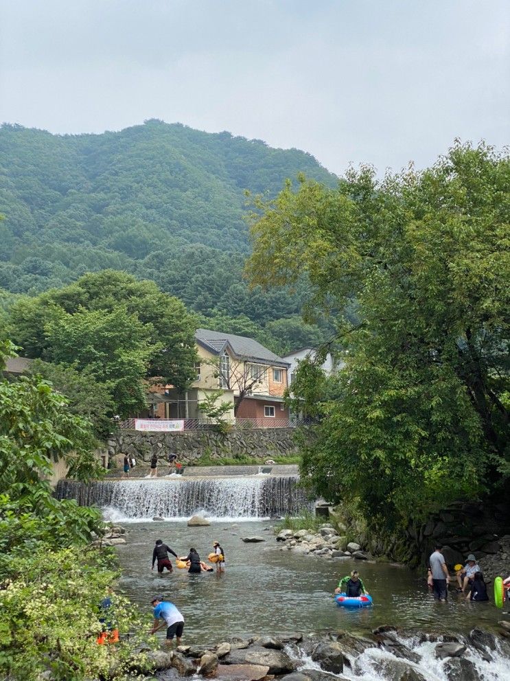 유명산 어비계곡