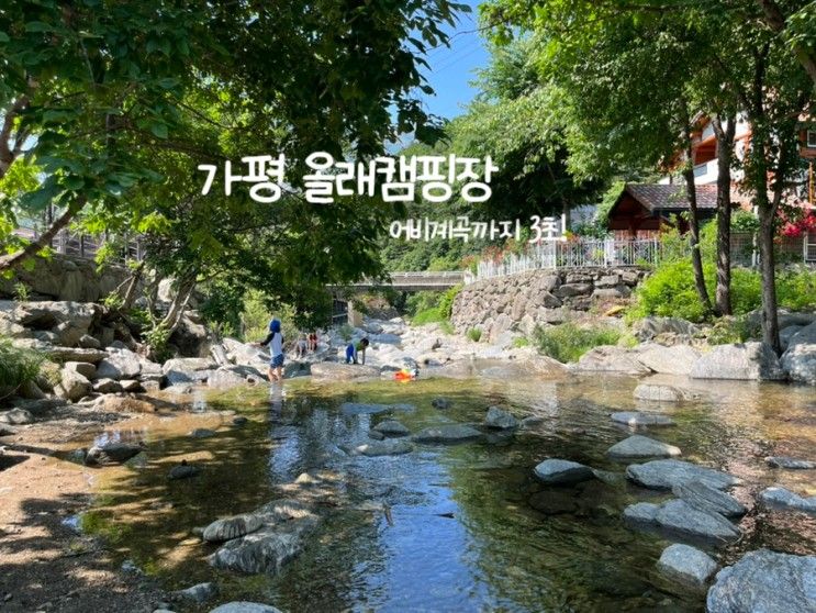 가평 '올래캠핑장' 유명산캠핑장 / 어비계곡캠핑장, 계곡이 3초컷!