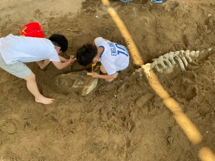 익산 공룡 테마공원/ 익스트림... 모래놀이/ 다이노 키즈월드...