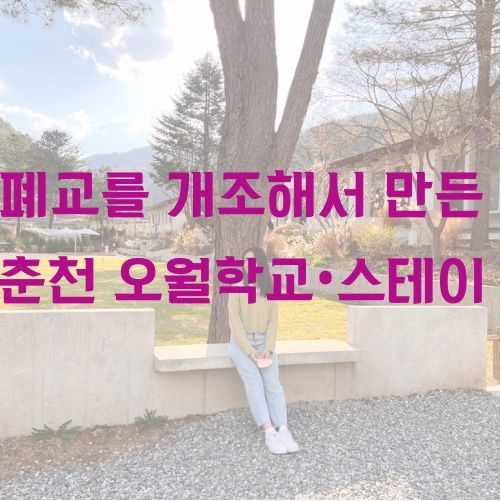 개조한 이색숙소 춘천 오월학교 / 오월스테이 (바베큐,조식도 최고)