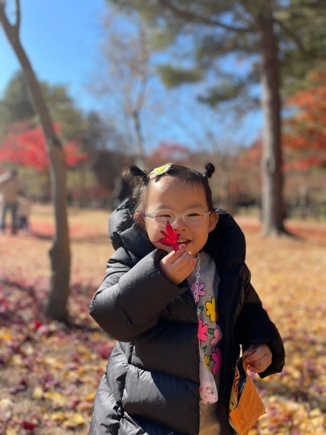 사랑해 / 남이섬 단풍여행 / 현대 블룸비스타호텔 시크릿쥬쥬