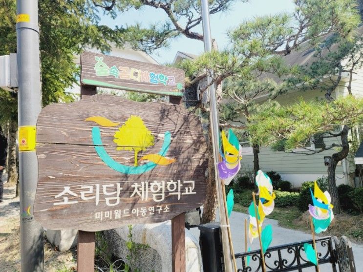 경기도 광주 숲속곰디체험학교 피카소 미술체험