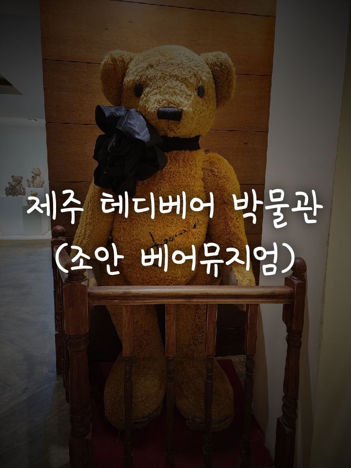 [제주 조안 베어뮤지엄] 귀엽고, 포근한 테디베어들이 모여 있는...