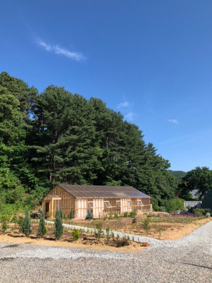 와일드그린 wild green 생일 파티 하기 좋은 파티룸 후기