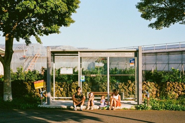 [필름사진 /Contax G2] 2023, 제주, 오버 더 센스