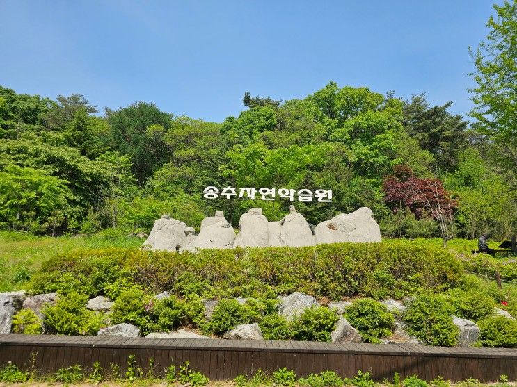 북한산국립공원 송추 계곡 유원지 주차장 정보팁!
