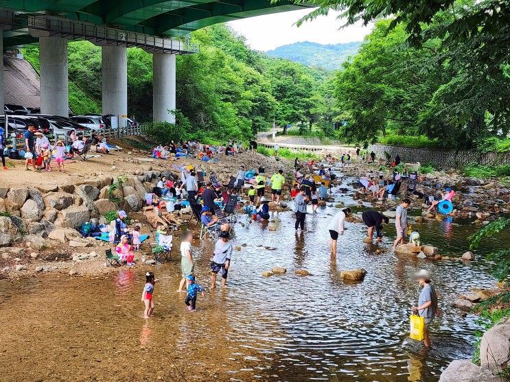 서울 근교 아이랑 물놀이 갈만한 곳 양주 송추계곡 폭포 보며...