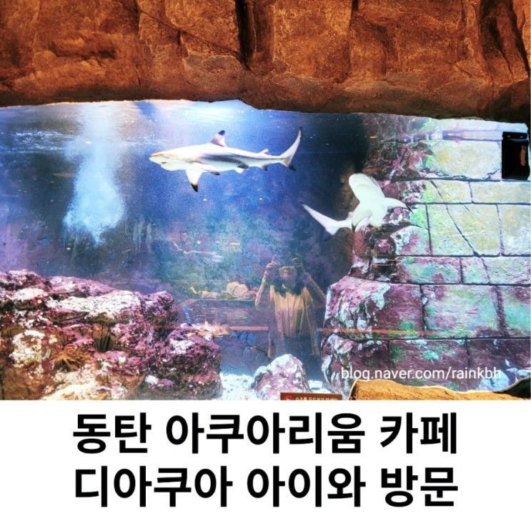 롯데백화점 동탄 아이와 가볼 만한 곳 디아쿠아 카페