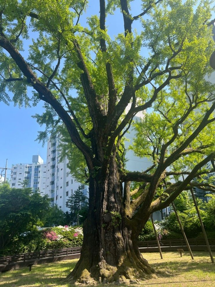 도봉구 아이들과 가 볼만 한 곳 - 원당샘공원, 연산군묘...