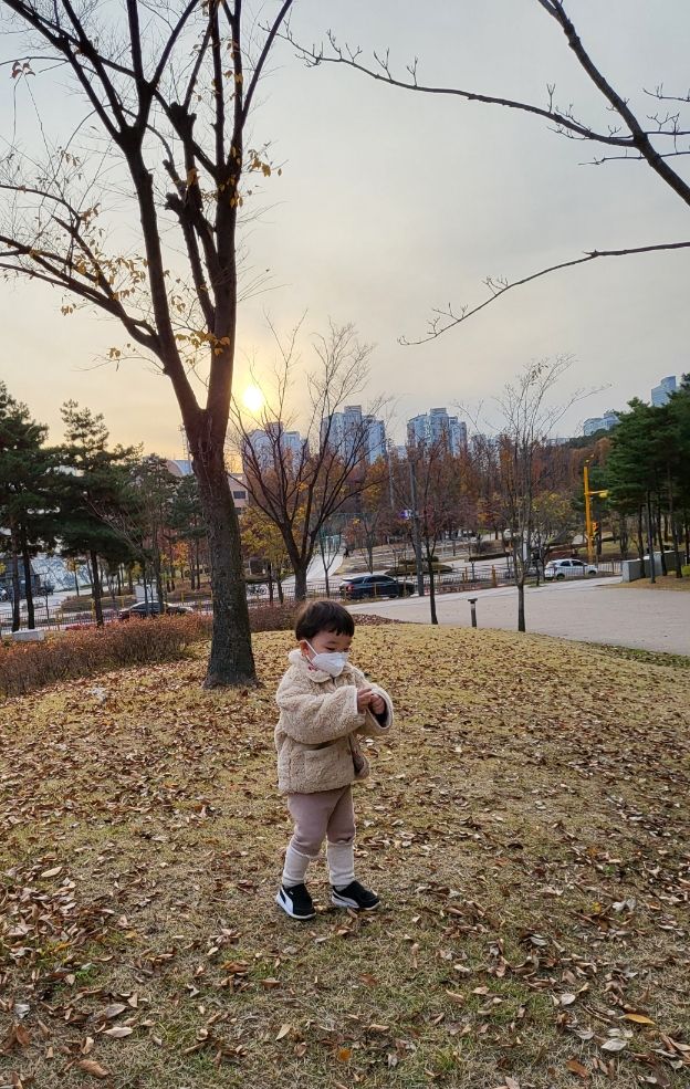 [D+877]하원 후 일상(낙엽 놀이/챔피언더에너자이저 동탄...