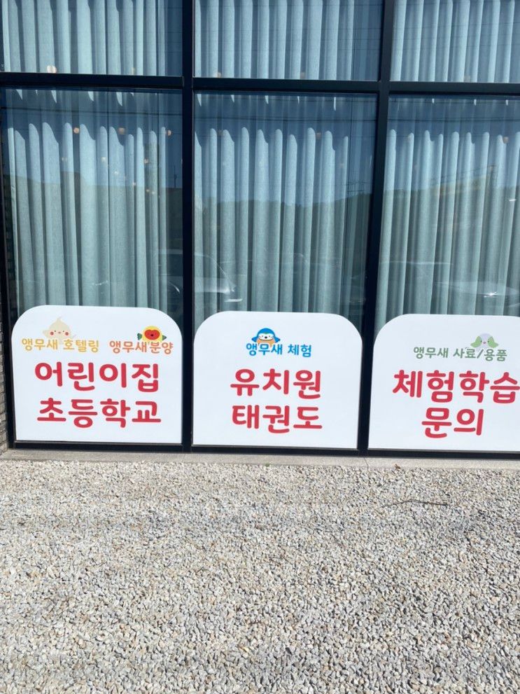 용인앵무세카페-용인키즈카페 리프패럿 용인점