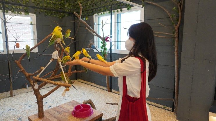 함께 할수 있는 데이트 앵무새의 모든 것 - 리프패럿 용인점