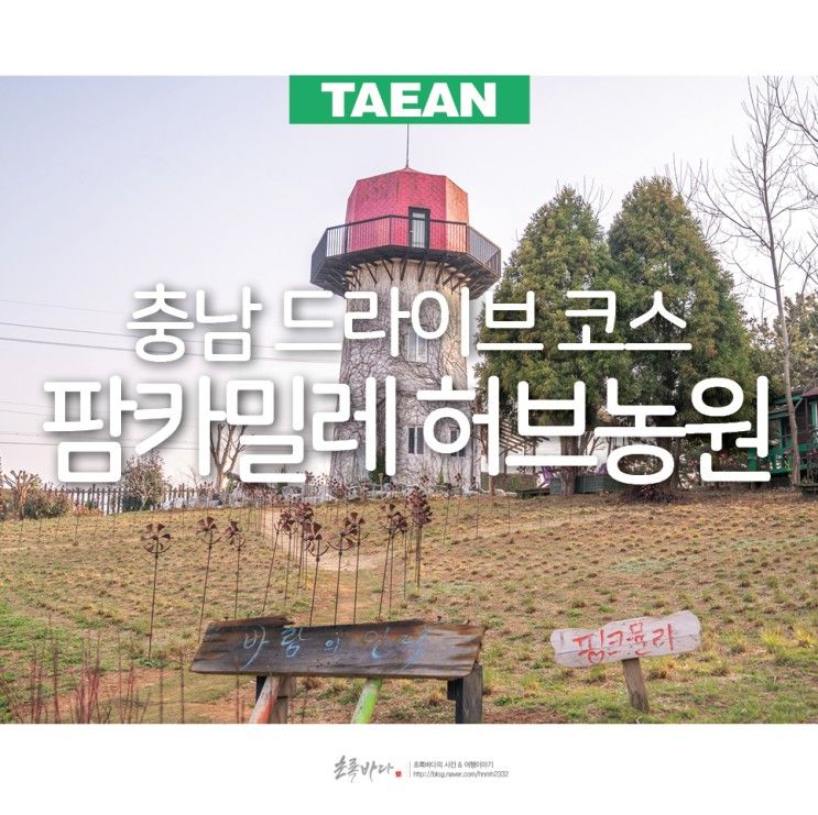 충남 드라이브 코스 태안 여행지 볼거리 태안 팜카밀레