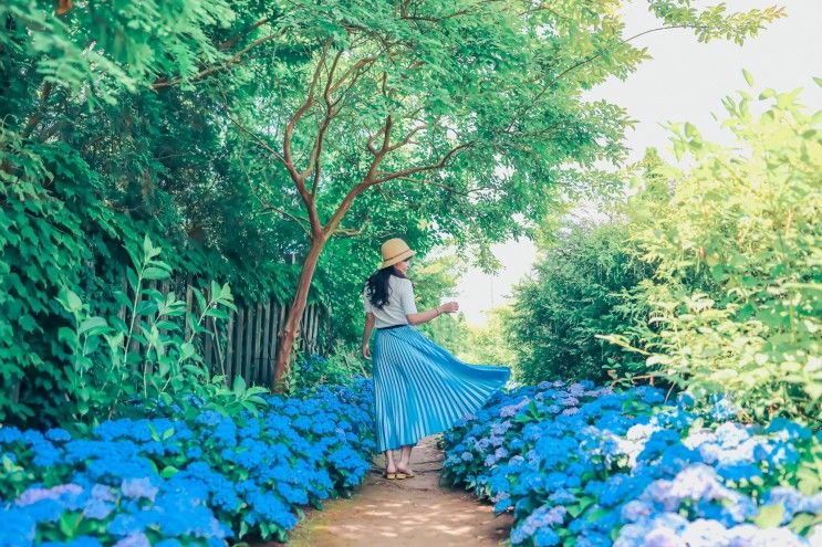 [태안 가볼만한곳]태안 팜카밀레로 여름여행 떠나요