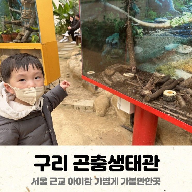 구리 곤충생태관 - 서울근교 무료 곤충박물관 아이랑 갈만한곳