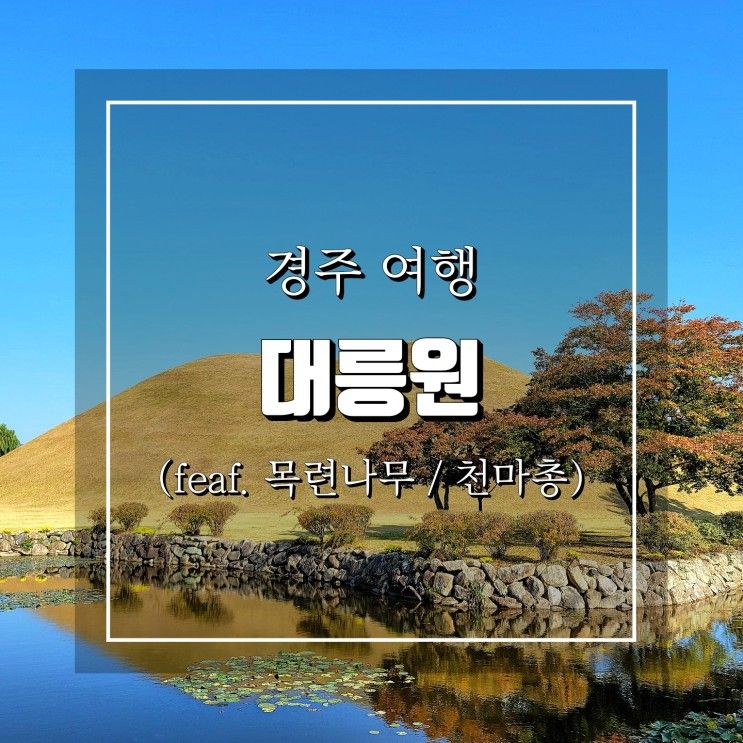 경주 대릉원 관람시간 및 입장료 포토존 목련나무 천마총