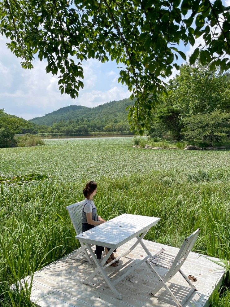 경주 여행코스 마지막날 (경주 대릉원, 화랑의 언덕 - 핑클...