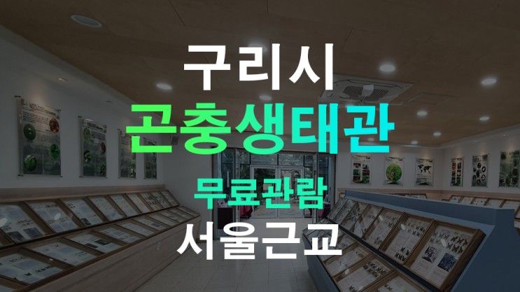 서울근교 아이와 갈만한곳 구리 곤충생태관 주말나들이