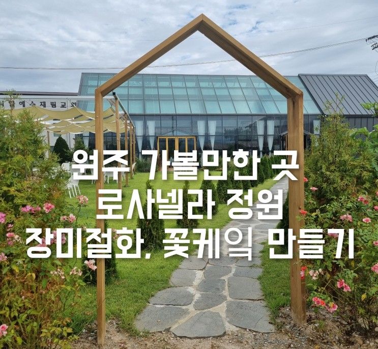 원주 가볼만한 곳 로사넬라 정원- 장미절화, 꽃케잌 만들기 체험