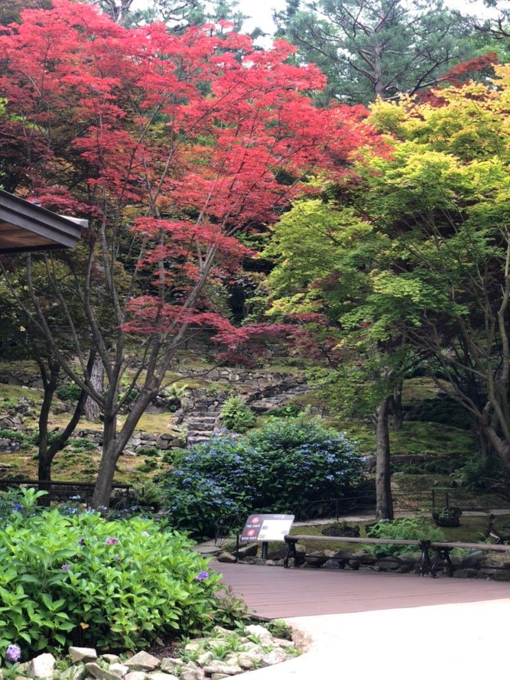 [나무늘보의  weekend] where we go? 모노레일과 함께 하는  곤지암 화담숲 여행,아이와 함께 하는 일상