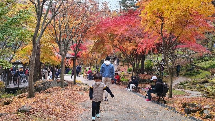 아이와 화담숲에서 가을 산책