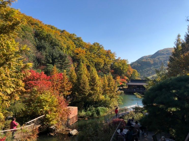 아이와 단풍 구경하러 곤지암 화담숲으로