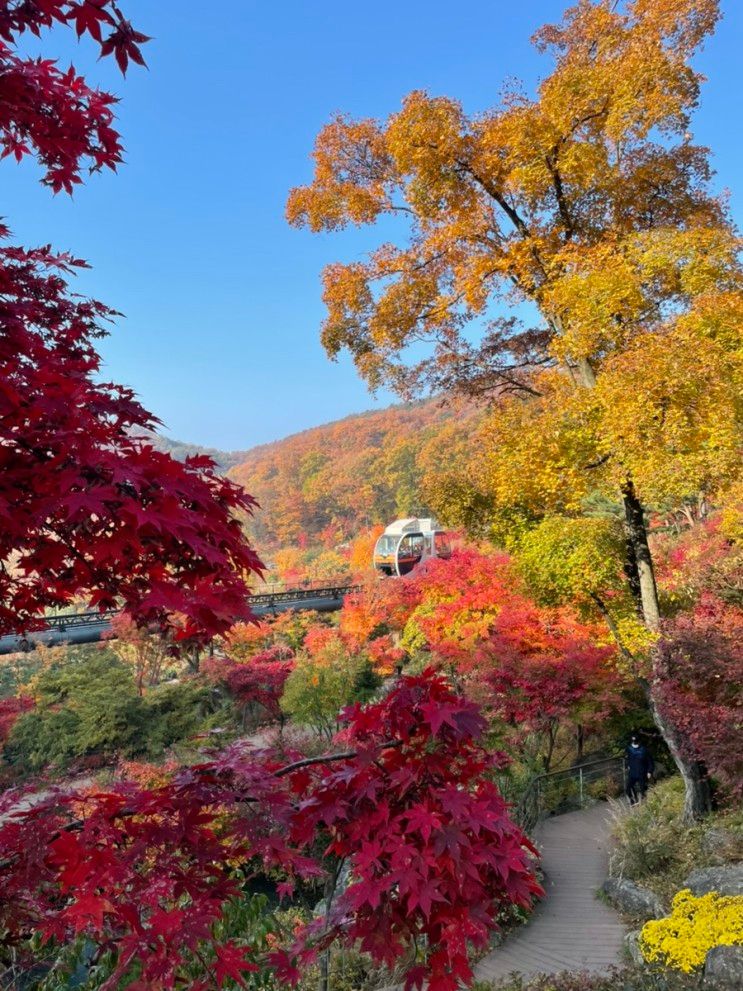 경기도 광주 곤지암 화담숲   아이와 함께 모노레일 타고   화담숲에서 단풍 나들이       한옥주막에서 해물파전         힐링식당에서 꽈배기 도넛