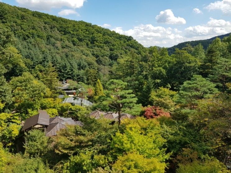 경기도 광주 곤지암 화담숲 단풍구경하기 좋은 아이와 가볼만 한 곳(입장료할인, 모노레일,주차팁)