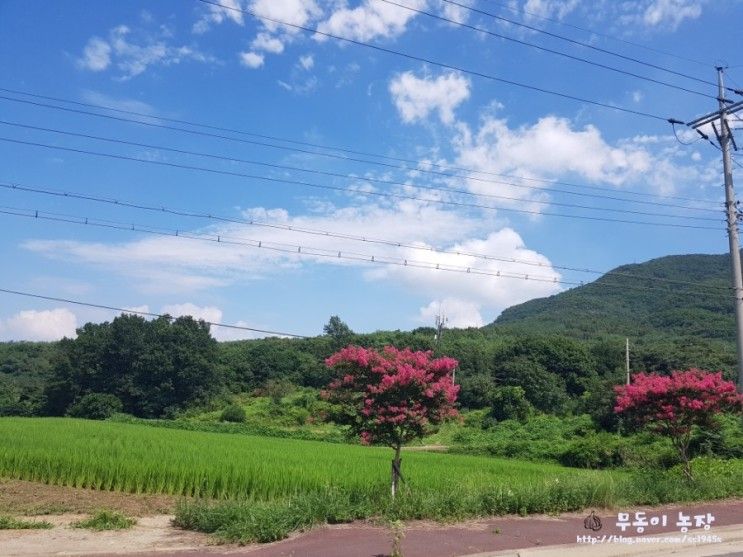 보령냉풍욕장'찜통더위잡는 천연에어컨 쐬러갔다왔어요!