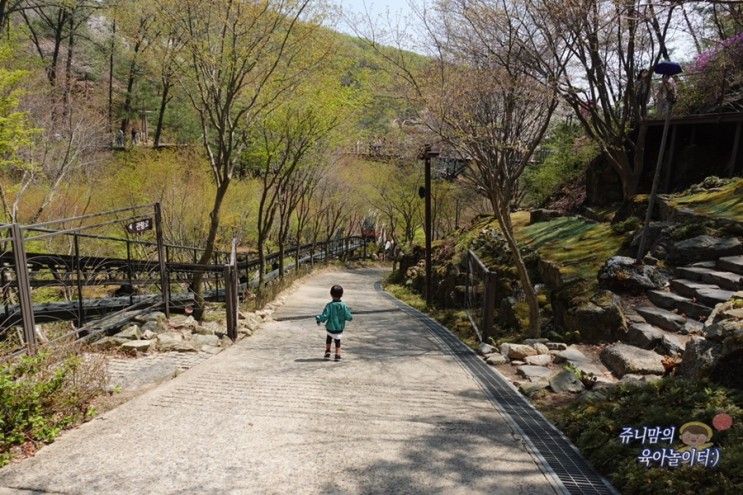 곤지암 화담숲 온라인 예약, 모노레일 이용방법, 가격 아이와 놀거리