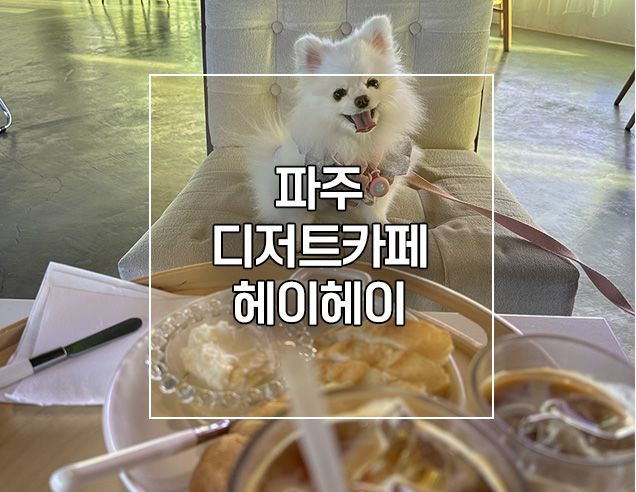 파주 디저트카페 파블로바 케이크 맛집 헤이헤이 (강아지 동반...