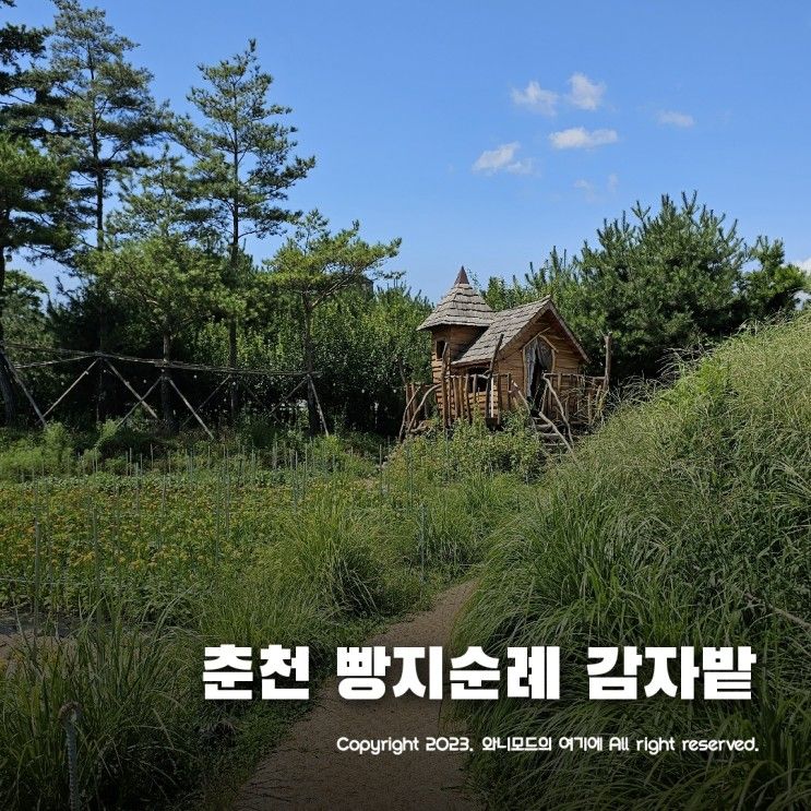 춘천여행 빵지순례 카페 감자밭 ~ 감자빵 서리태라떼 환상조합