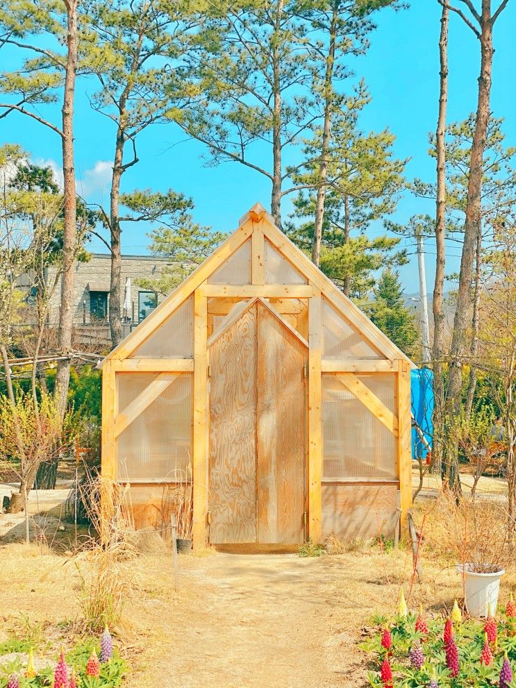 춘천 감자밭 카페 감자빵 포장까지 했어