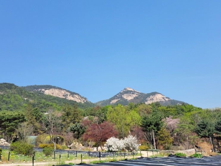 아이와 함께하는 나들이도 연인과 데이트하기에도 좋은 남양주 수목원카페 산들소리