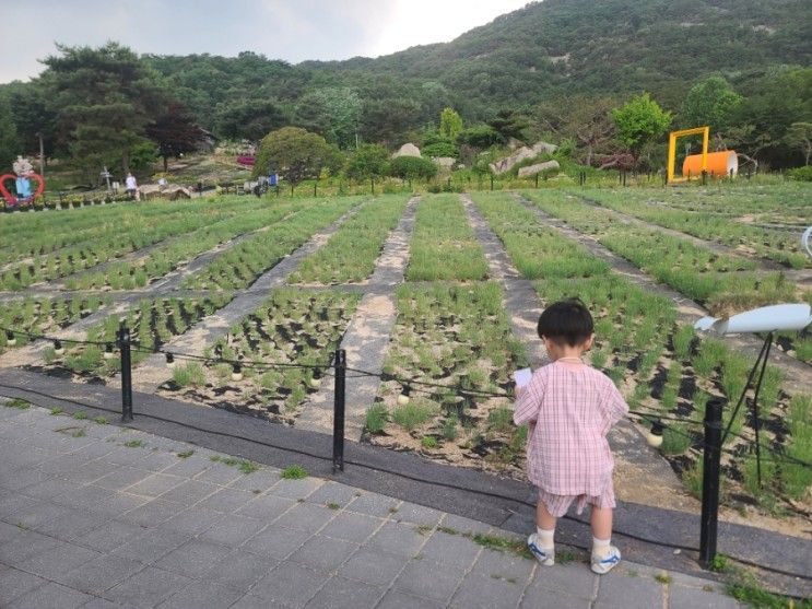 남양주 아이와 갈만한 곳 별내 산들소리 수목원(토끼 염소 체험)