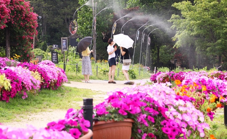 남양주 가볼만한 곳 아이와 나들이가기 좋은 별내 산들소리수목원, 카페