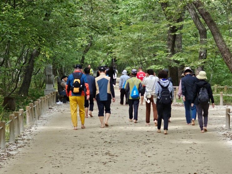 함양 상림공원 … 맨발걷기 1만보 이상 68일째