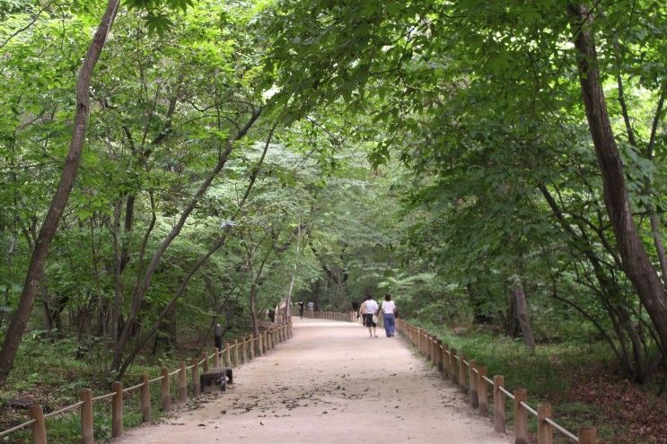 함양 상림공원, 맨발로... 석불, 함양 최치원 신도비, 역사인물공원