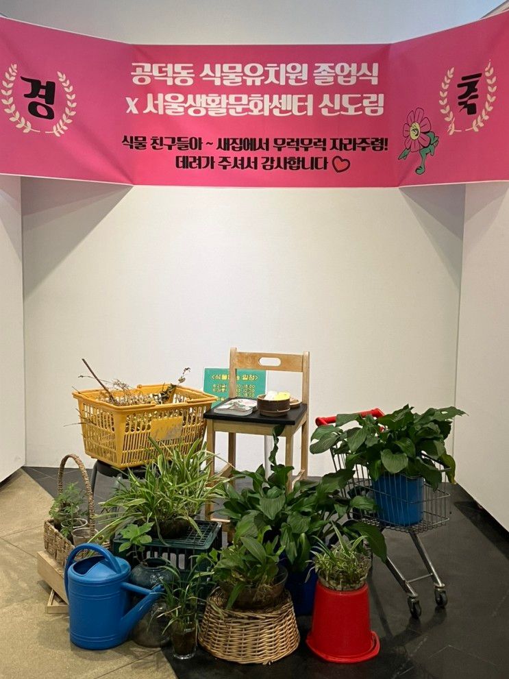 공덕동 식물유치원 졸업식 x 서울생활문화센터 신도림