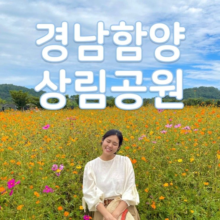 [경남 함양 가볼만한곳] 함양 상림공원 가을꽃과 여유롭게...