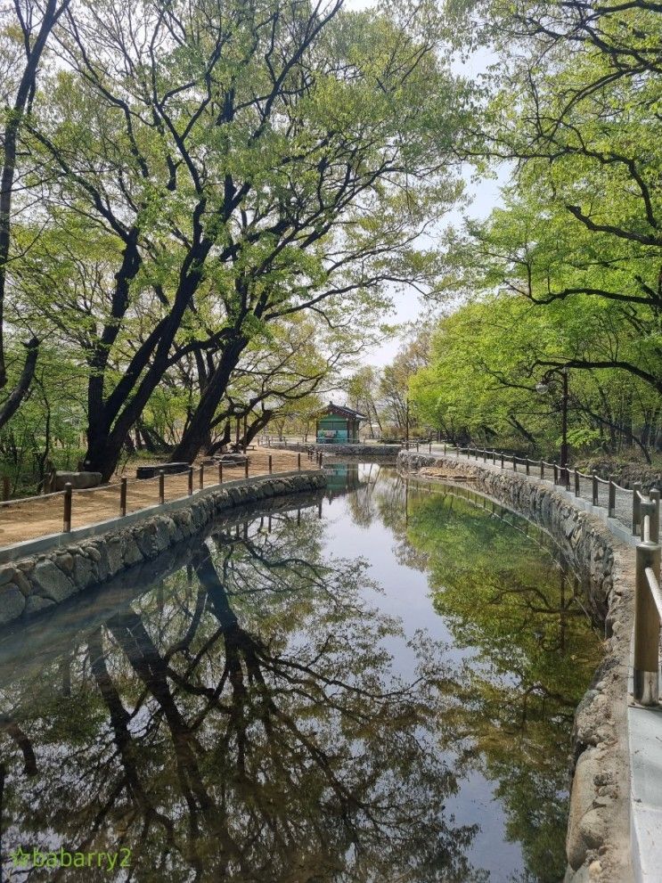 경남 함양 상림공원 숲길을 걸어요