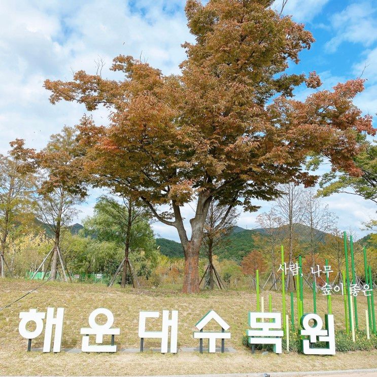 부산 해운대 | 해운대 수목원 🌳 미니동물원과 산책길로 아이와 가볼만한 곳