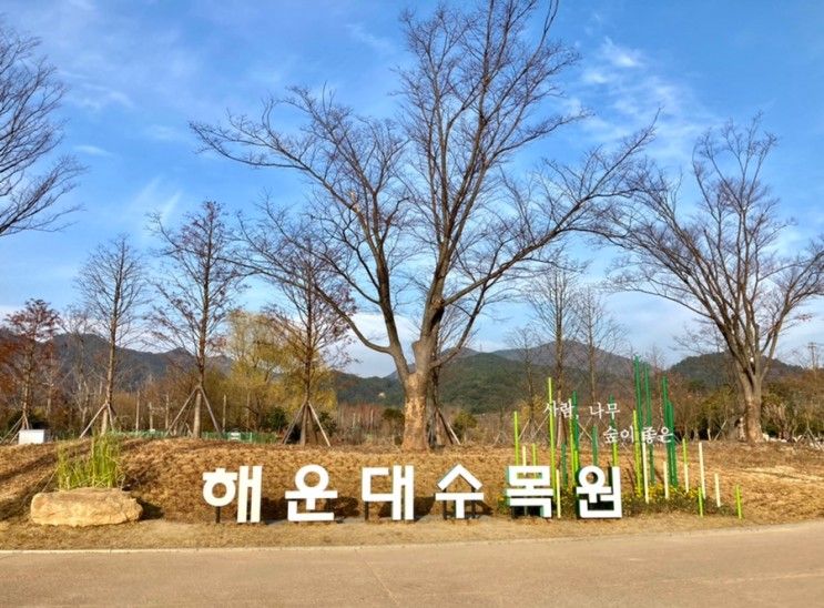 해운대수목원 (임시개장) _ 아이와 야외 산책하기 좋은 곳!