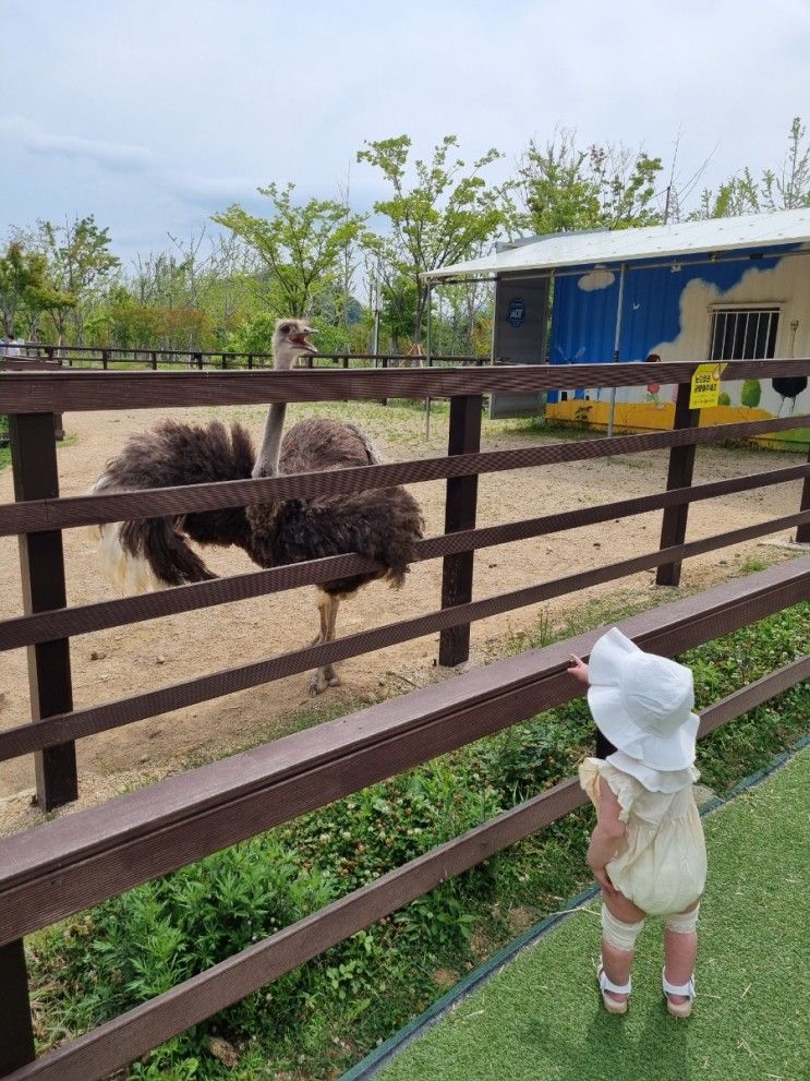 [ 부산 아이와 함께 가볼만한곳 ] 해운대 수목원 :: 무료입장과 무료 주차