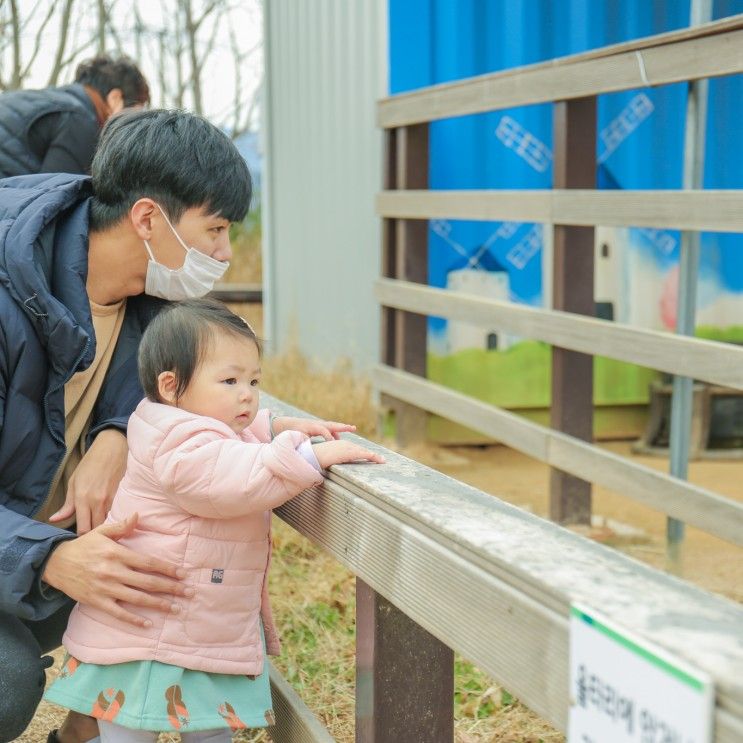 부산 아이와가볼만한곳 : 돌아기 해운대수목원에서 동물봐요!