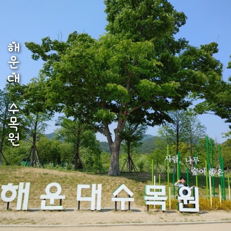 가족나들이장소로 좋다는 부산 아이와가볼만한곳 해운대수목원 다녀온 후기