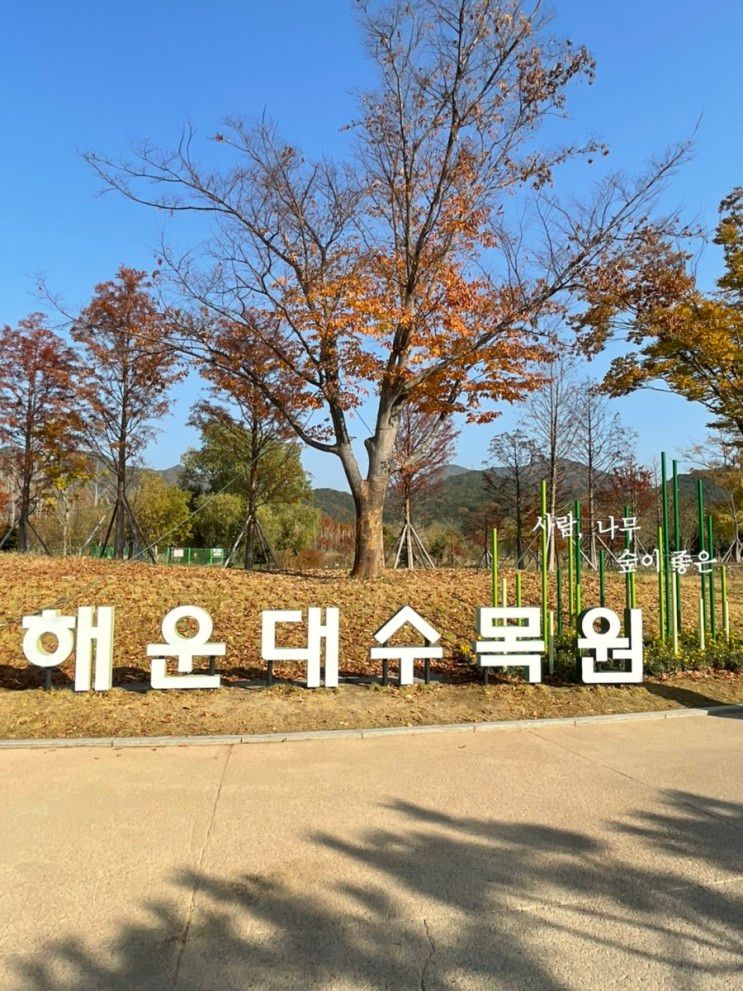 부산 해운대 수목원 김해 부산 근교 아이와 가볼만한 곳