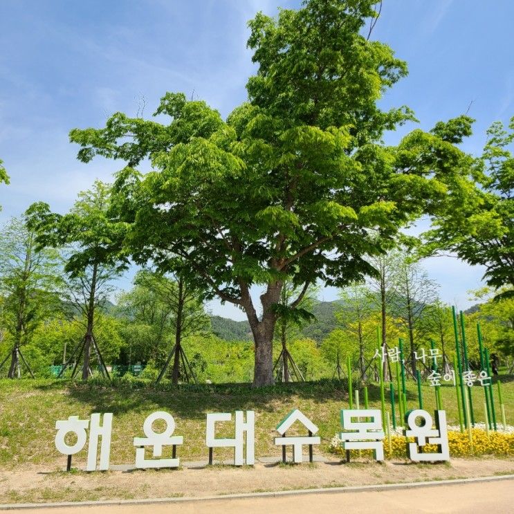 [해운대수목원]부산가볼만한곳/아이와함께가볼만한곳/부산장미공원/산책하기좋은곳