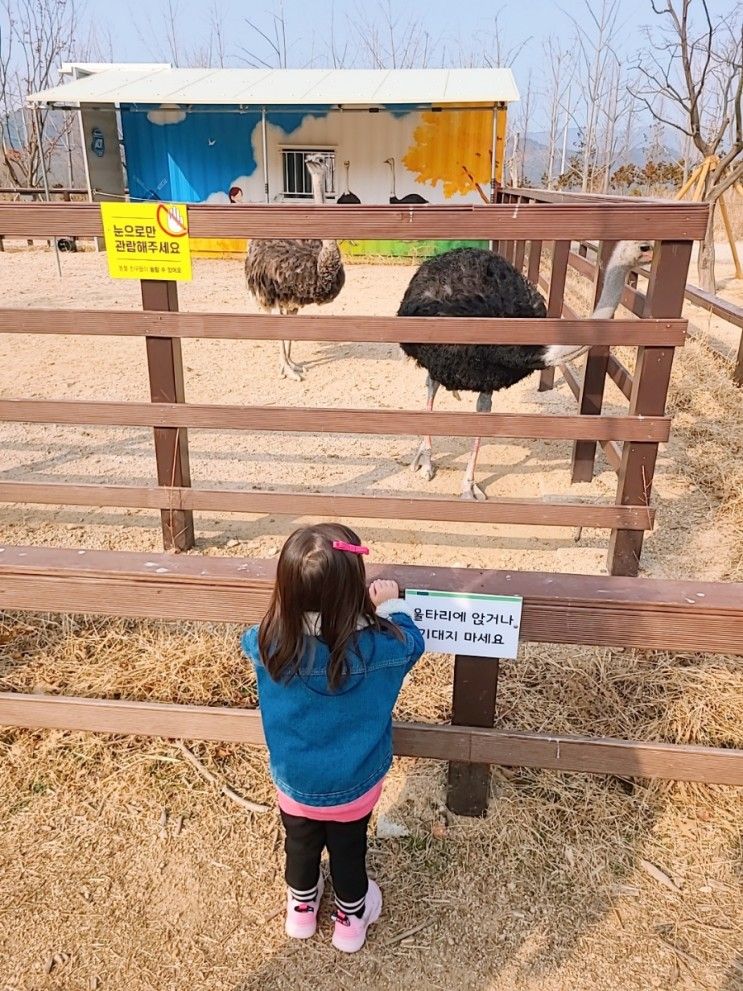 해운대수목원 미니 동물원 #부산아이와가볼만한곳