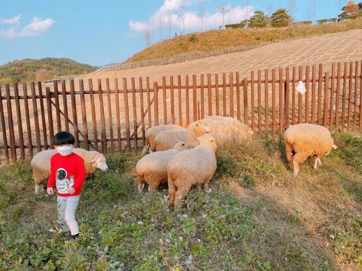 [부산] 산책이나 나들이로도 아이와 가볼만한곳으로도 괜찮았던 해운대 수목원...